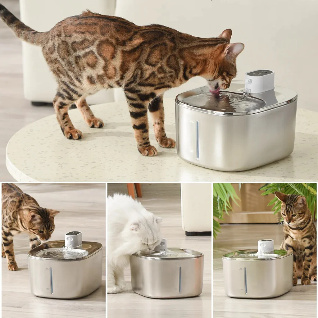 Kittyspout cat fountain Father’s Day gift for cat dad