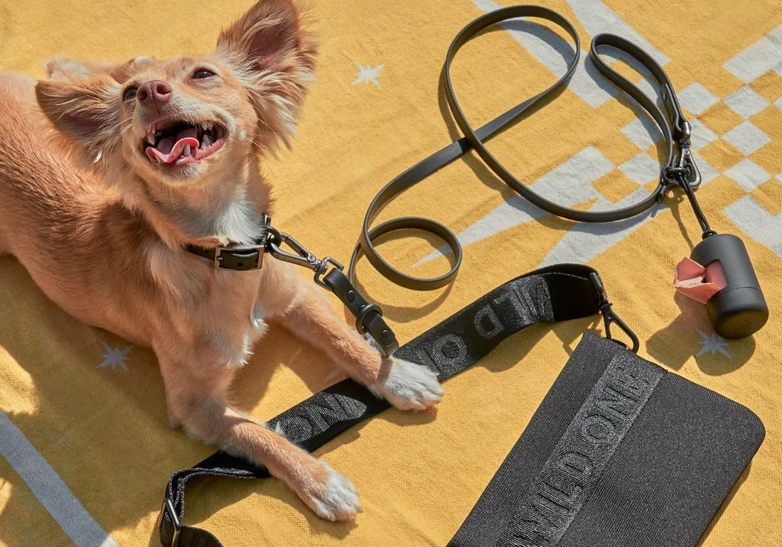 Wild One dog gear Father’s Day gift for dog dad