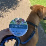FurLife vs Seresto Collar: Which Is Better for Flea & Tick Protection?